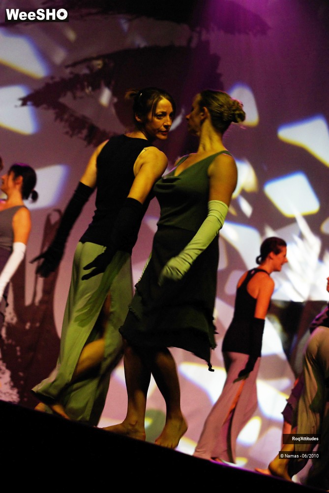 10/47 photos du spectacle Roq Attitudes Partie 2