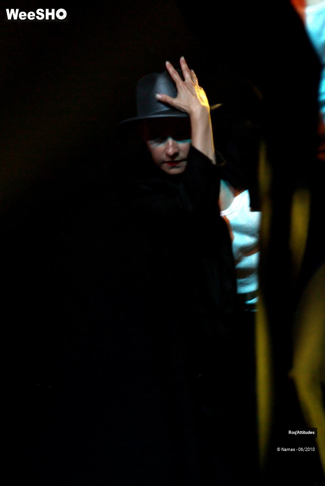 13/47 photos du spectacle Roq Attitudes Partie 2