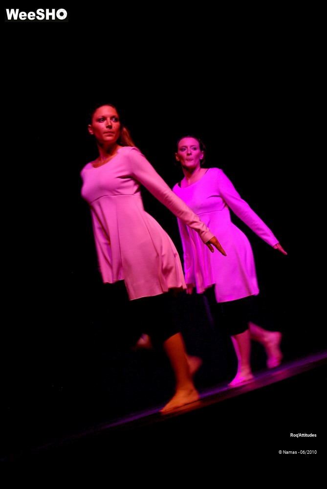 15/47 photos du spectacle Roq Attitudes Partie 2