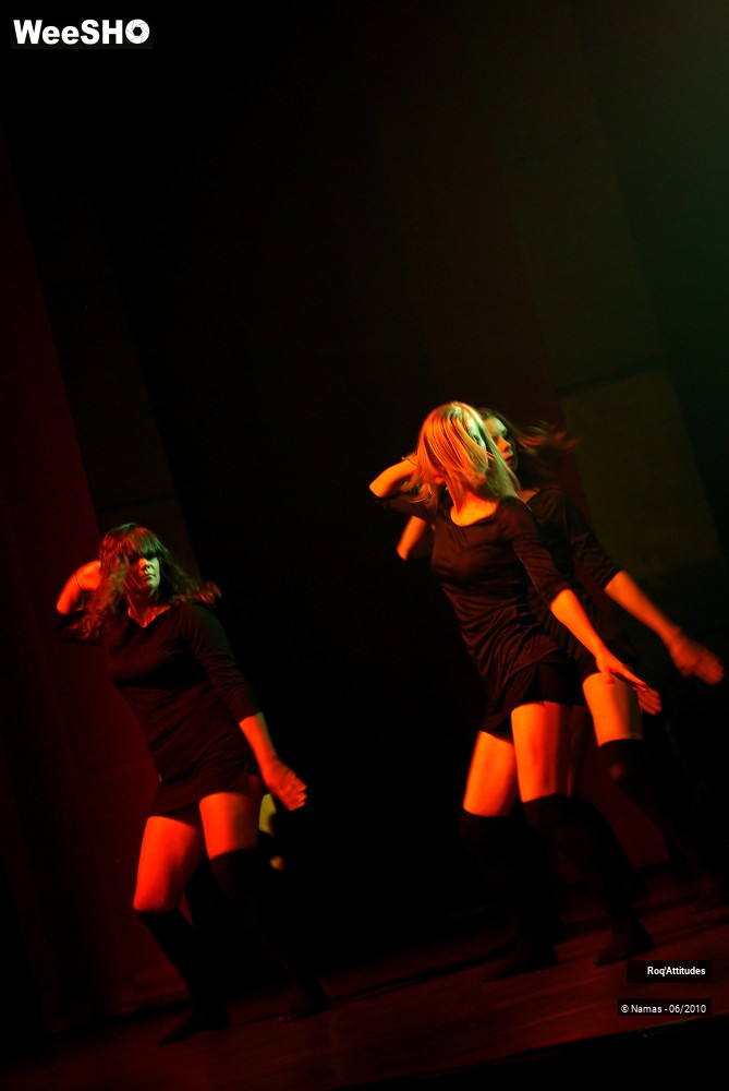 22/47 photos du spectacle Roq Attitudes Partie 2