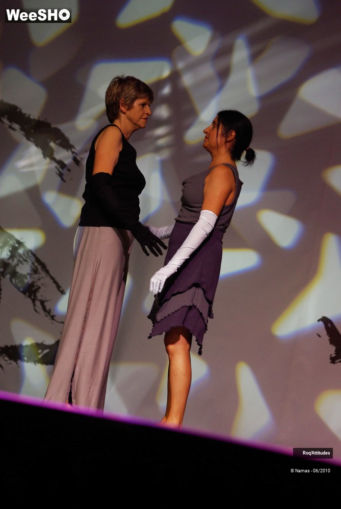 25/47 photos du spectacle Roq Attitudes Partie 2