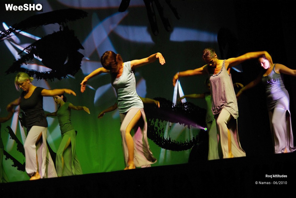 7/44 photos du spectacle Roq Attitudes - Les 5 Sens