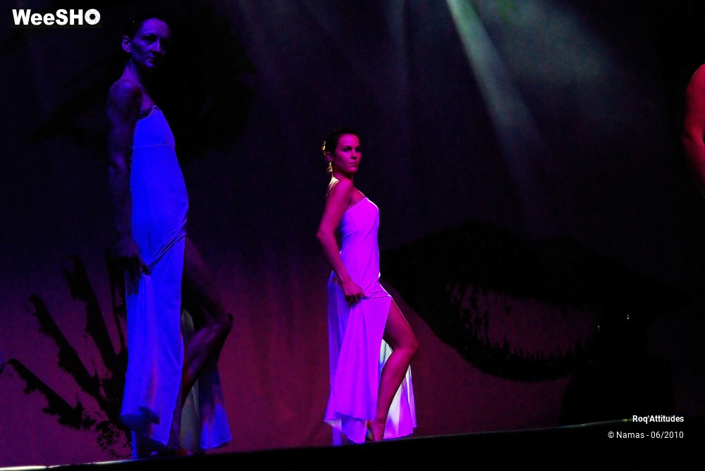 9/44 photos du spectacle Roq Attitudes - Les 5 Sens