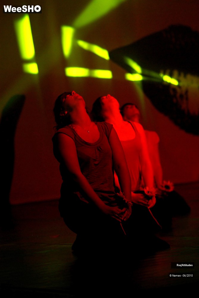 10/44 photos du spectacle Roq Attitudes - Les 5 Sens