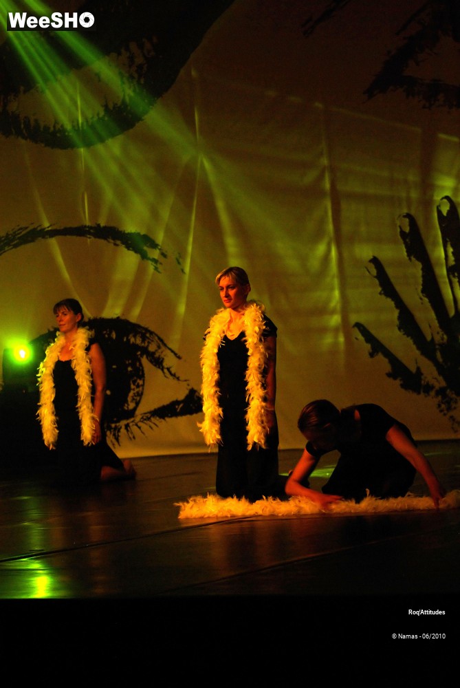 13/44 photos du spectacle Roq Attitudes - Les 5 Sens