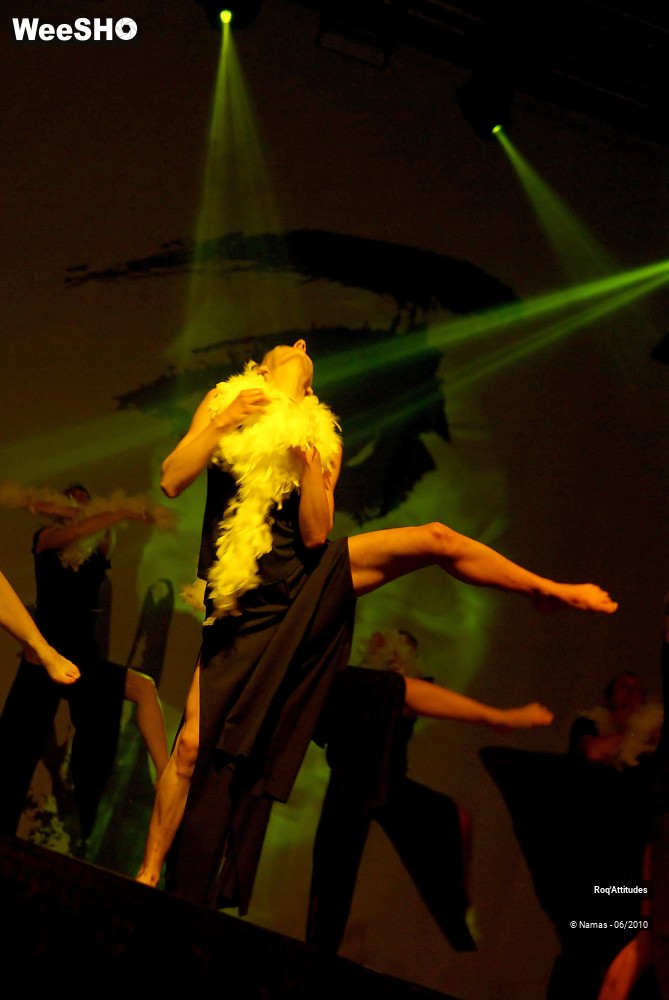 17/44 photos du spectacle Roq Attitudes - Les 5 Sens