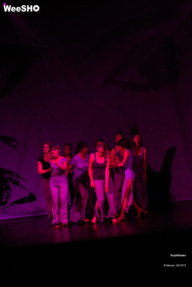 18/44 photos du spectacle Roq Attitudes - Les 5 Sens