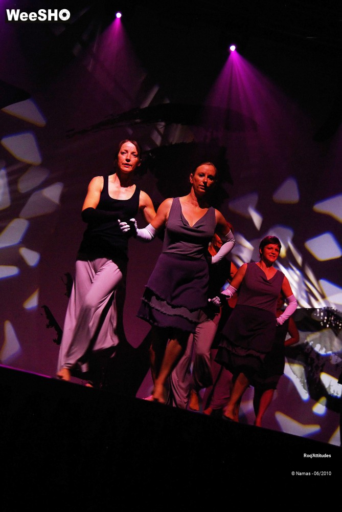 20/44 photos du spectacle Roq Attitudes - Les 5 Sens