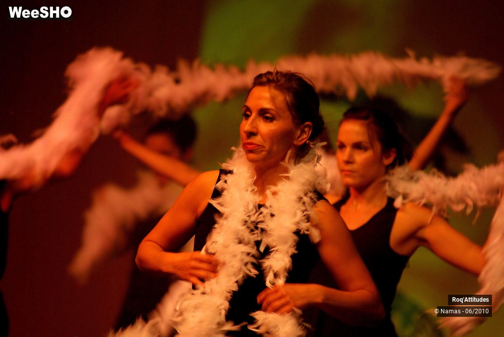 30/44 photos du spectacle Roq Attitudes - Les 5 Sens