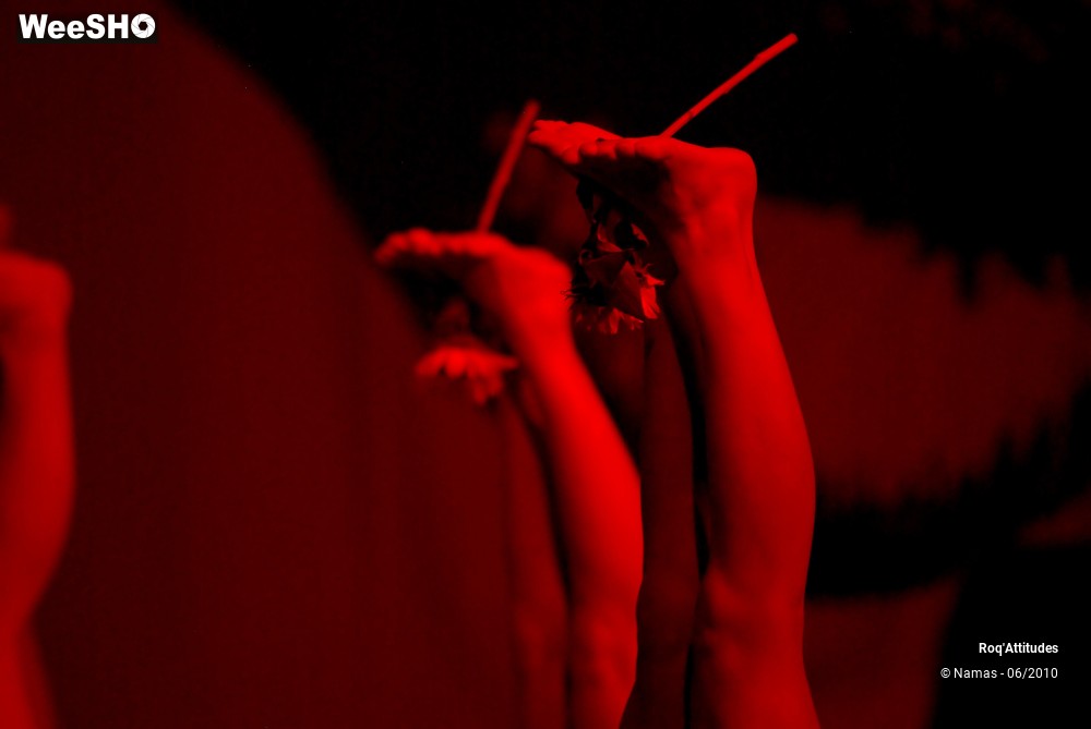 33/44 photos du spectacle Roq Attitudes - Les 5 Sens