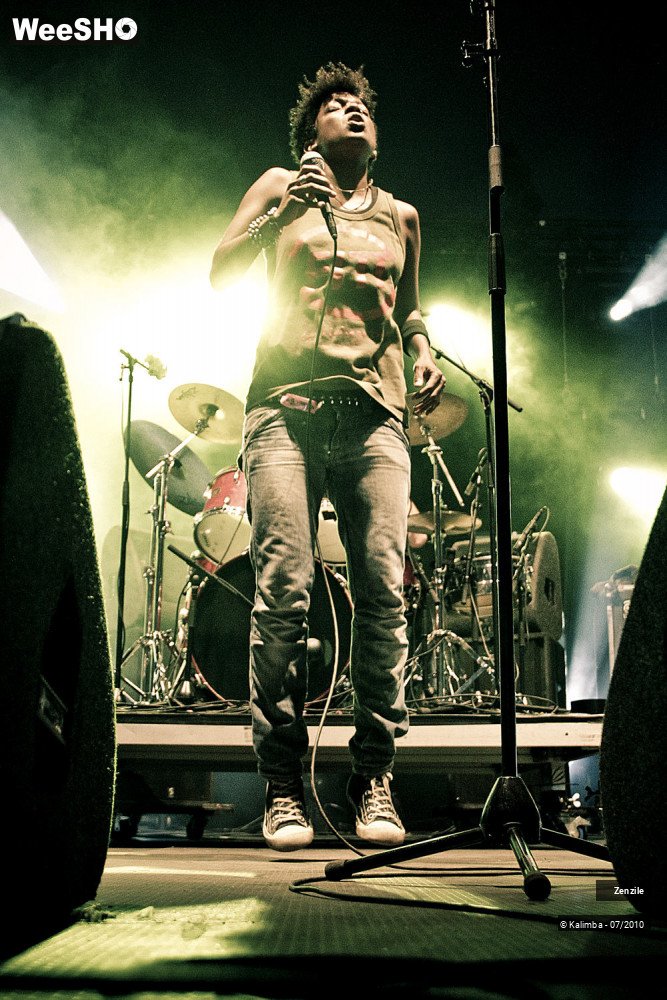 6/33 photos du spectacle Zenzile
