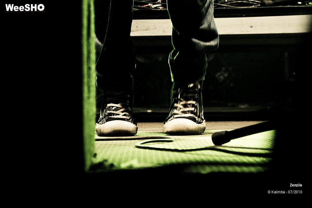 17/33 photos du spectacle Zenzile
