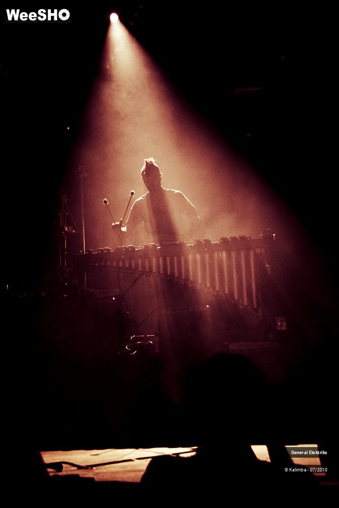 38/50 photos du spectacle General Elektriks
