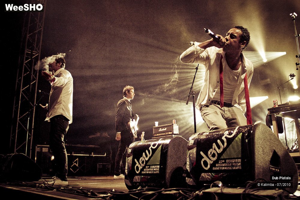 16/30 photos du spectacle Dub Pistols