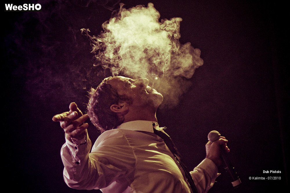 21/30 photos du spectacle Dub Pistols