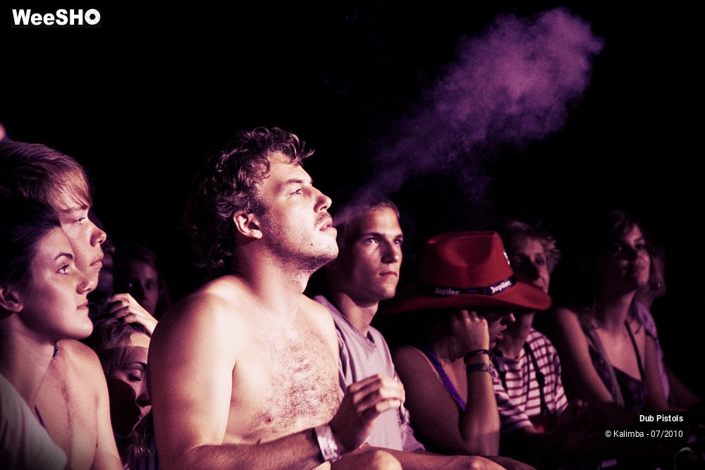 27/30 photos du spectacle Dub Pistols