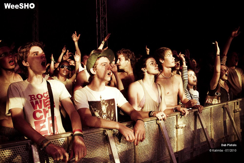 28/30 photos du spectacle Dub Pistols