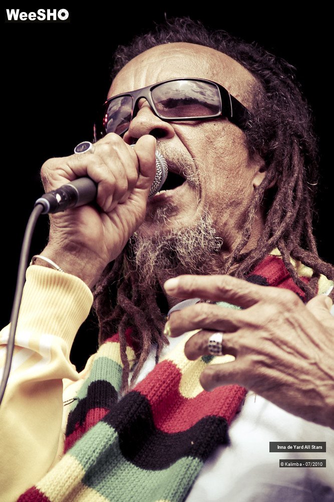 1/26 photos du spectacle Inna de Yard All Stars