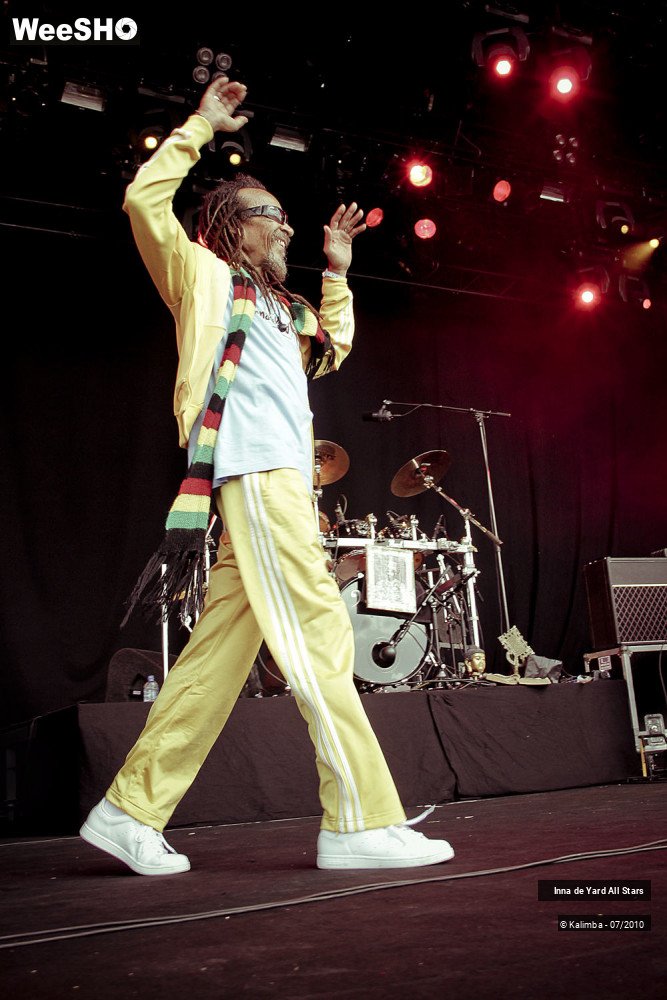 2/26 photos du spectacle Inna de Yard All Stars