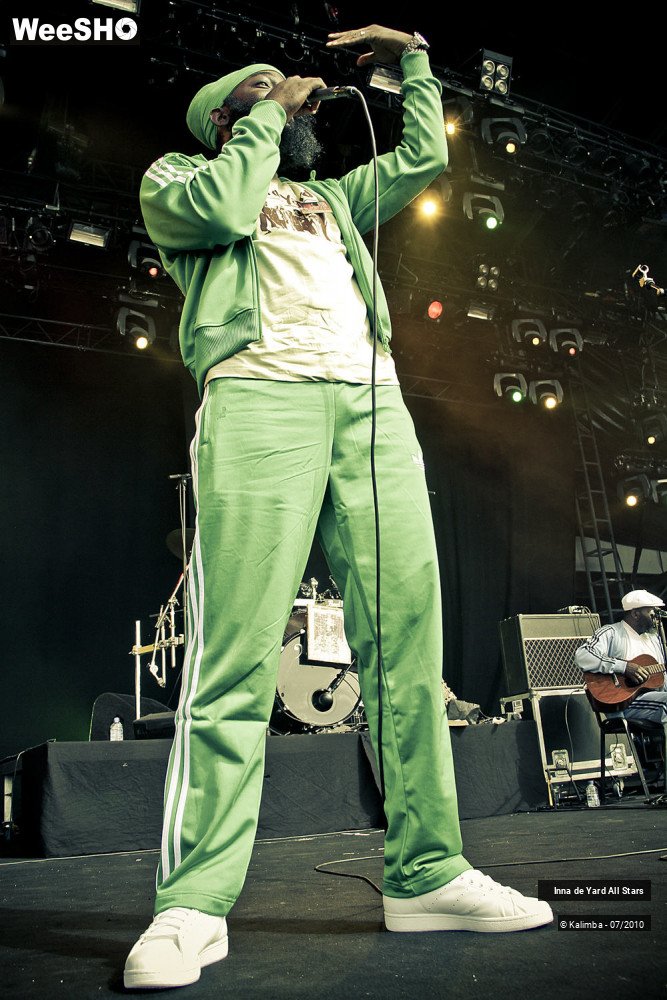 5/26 photos du spectacle Inna de Yard All Stars