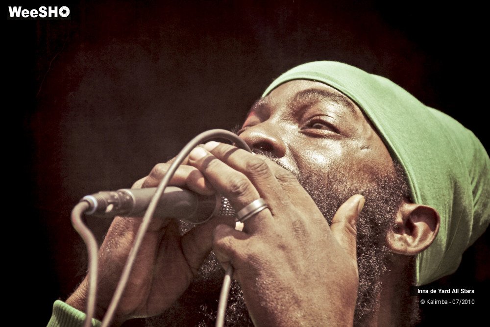 13/26 photos du spectacle Inna de Yard All Stars