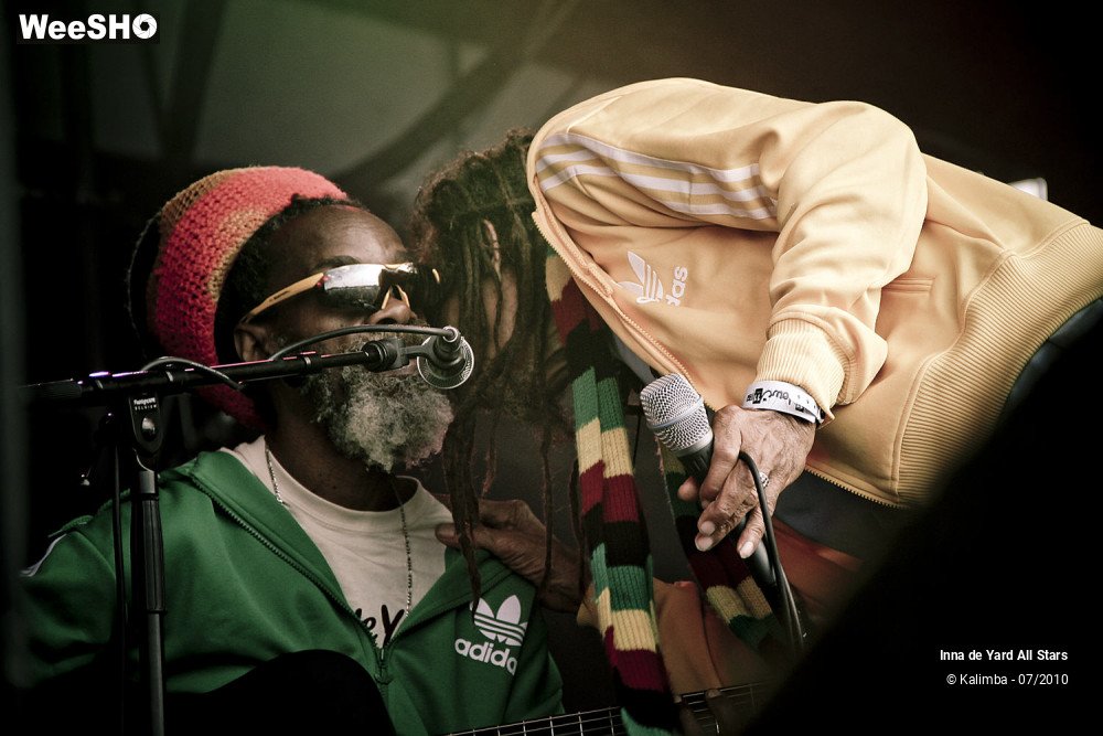 14/26 photos du spectacle Inna de Yard All Stars