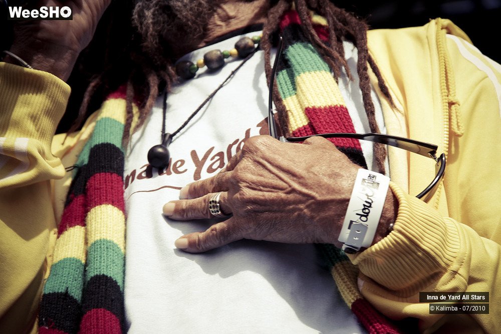 15/26 photos du spectacle Inna de Yard All Stars