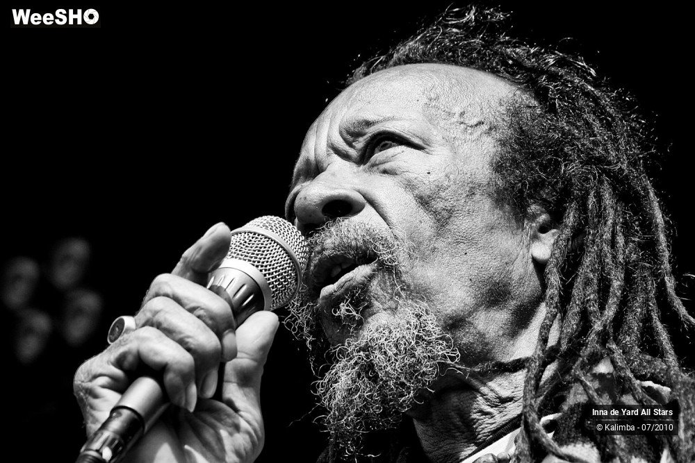 17/26 photos du spectacle Inna de Yard All Stars