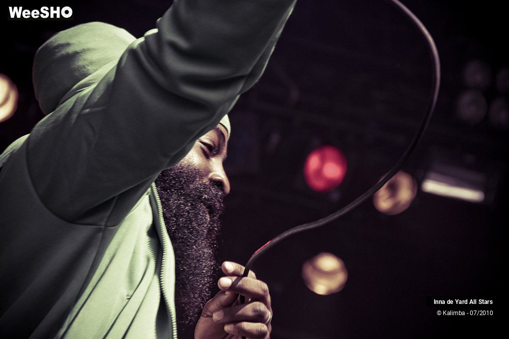 18/26 photos du spectacle Inna de Yard All Stars