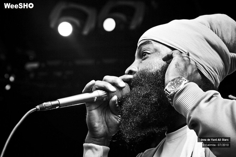 23/26 photos du spectacle Inna de Yard All Stars