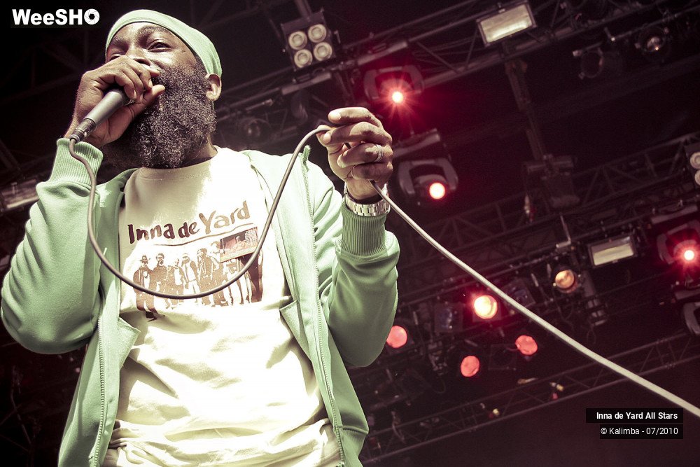 25/26 photos du spectacle Inna de Yard All Stars