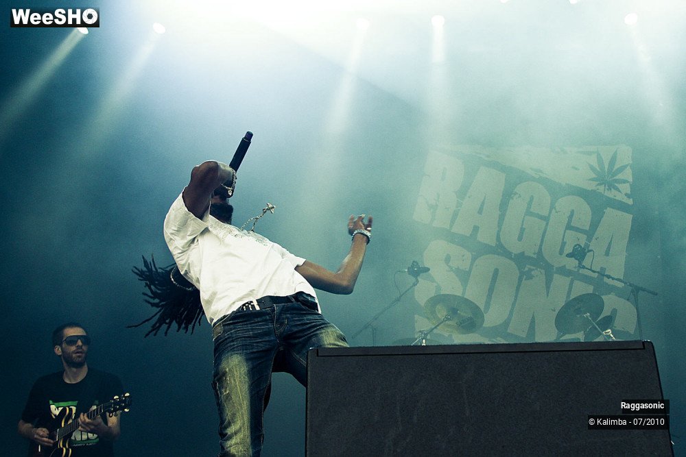 1/41 photos du spectacle Raggasonic