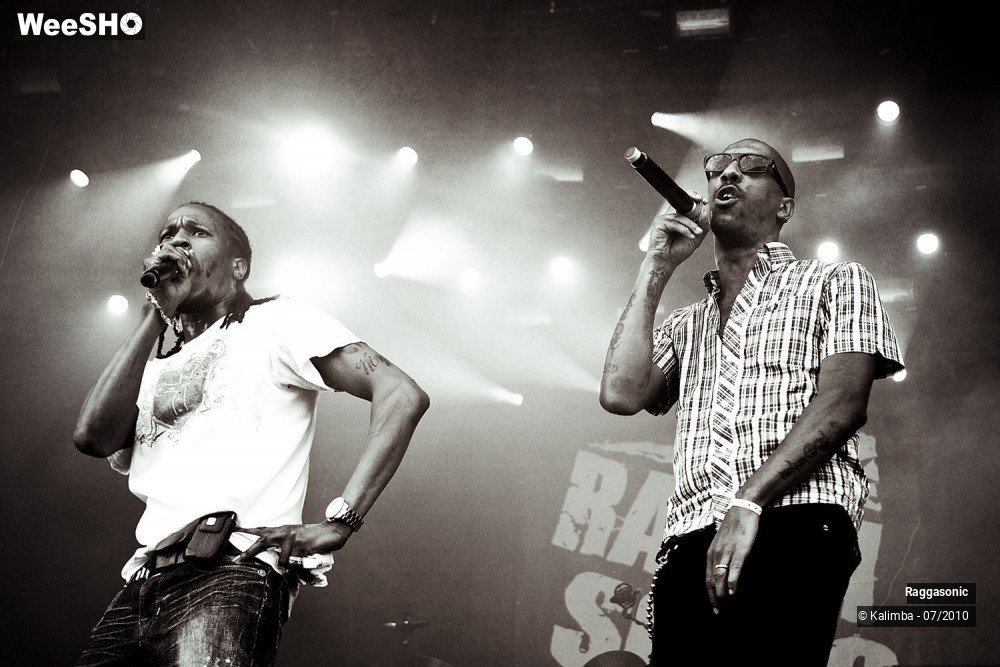 3/41 photos du spectacle Raggasonic