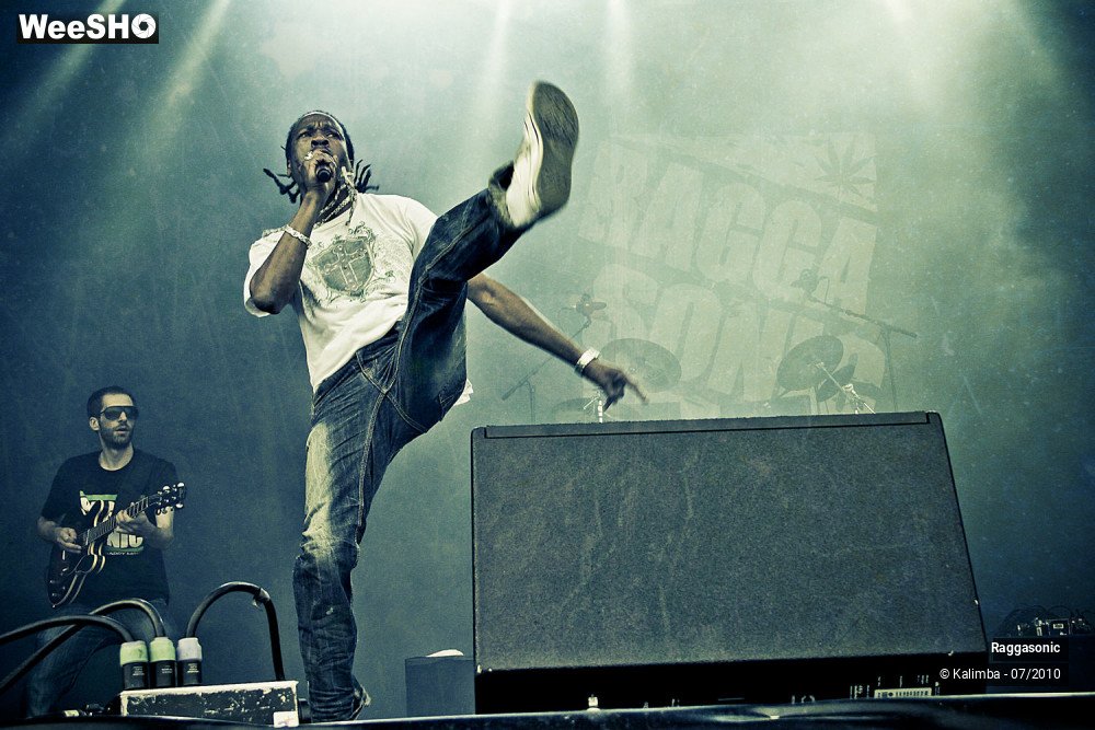 4/41 photos du spectacle Raggasonic