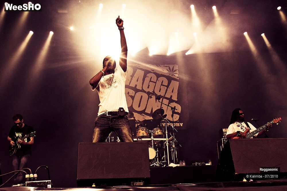 5/41 photos du spectacle Raggasonic