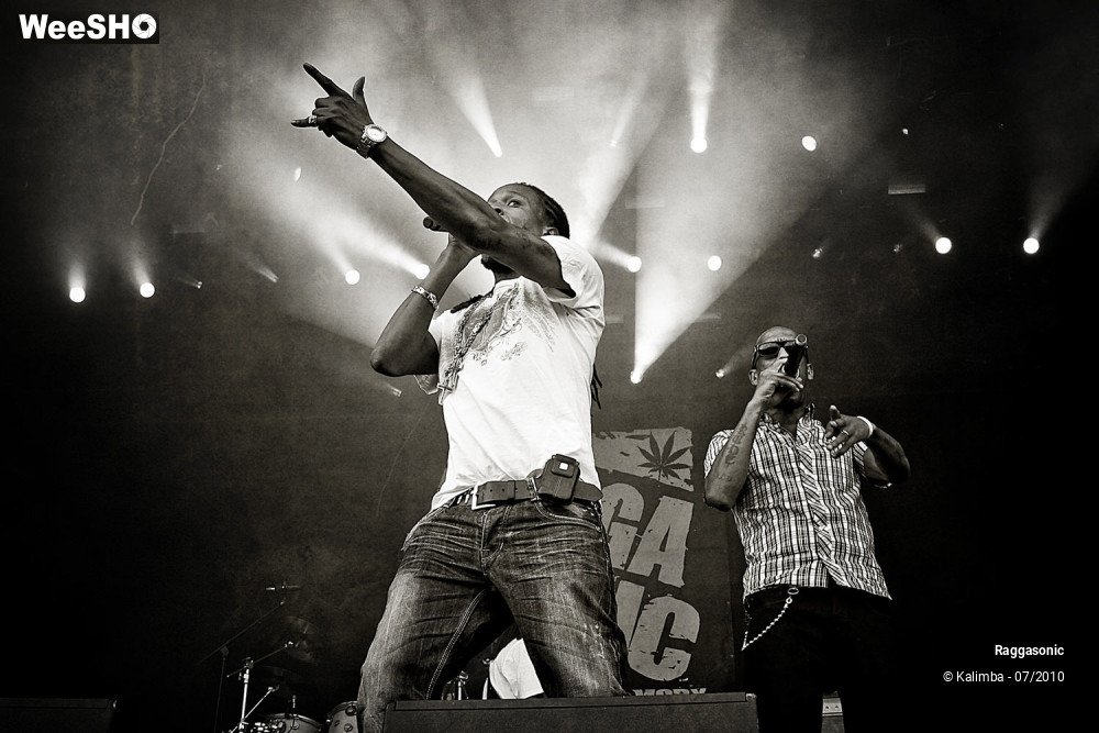 6/41 photos du spectacle Raggasonic