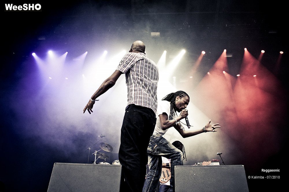8/41 photos du spectacle Raggasonic