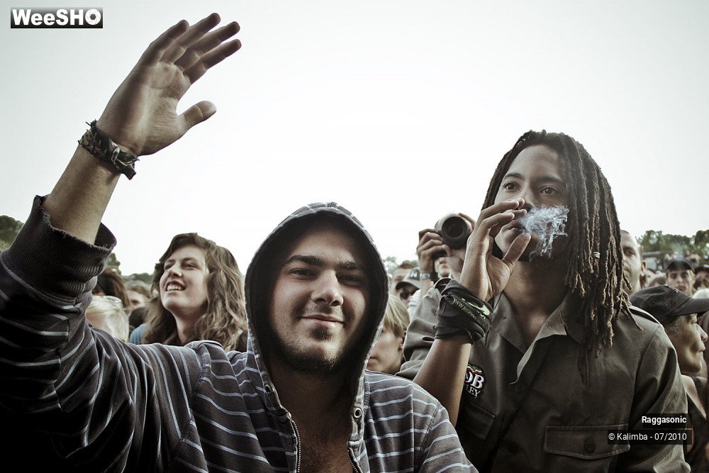 10/41 photos du spectacle Raggasonic