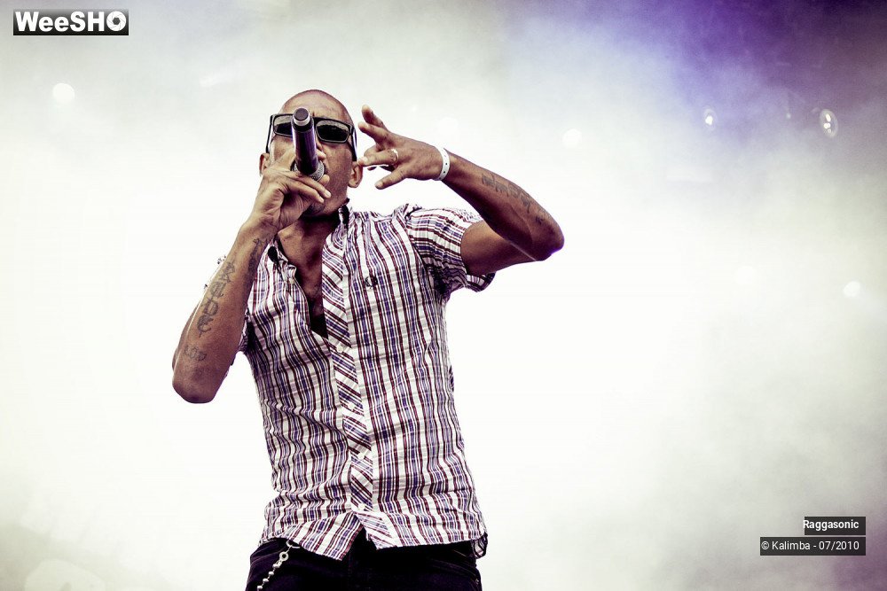 11/41 photos du spectacle Raggasonic