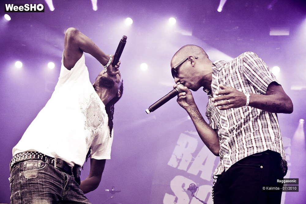 12/41 photos du spectacle Raggasonic