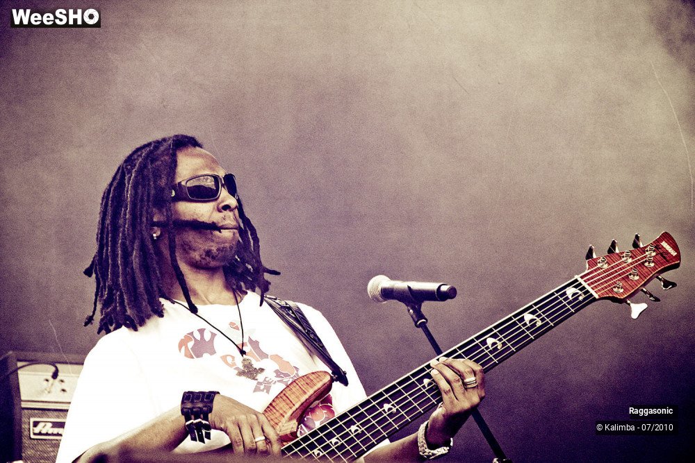 13/41 photos du spectacle Raggasonic