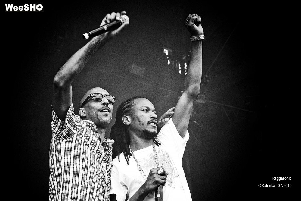 16/41 photos du spectacle Raggasonic
