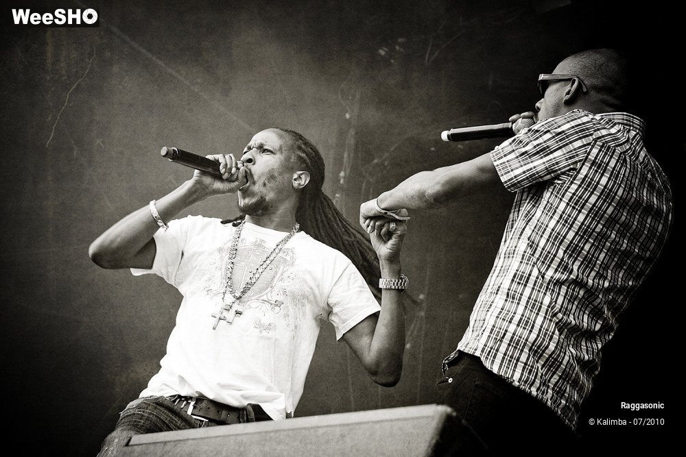 17/41 photos du spectacle Raggasonic