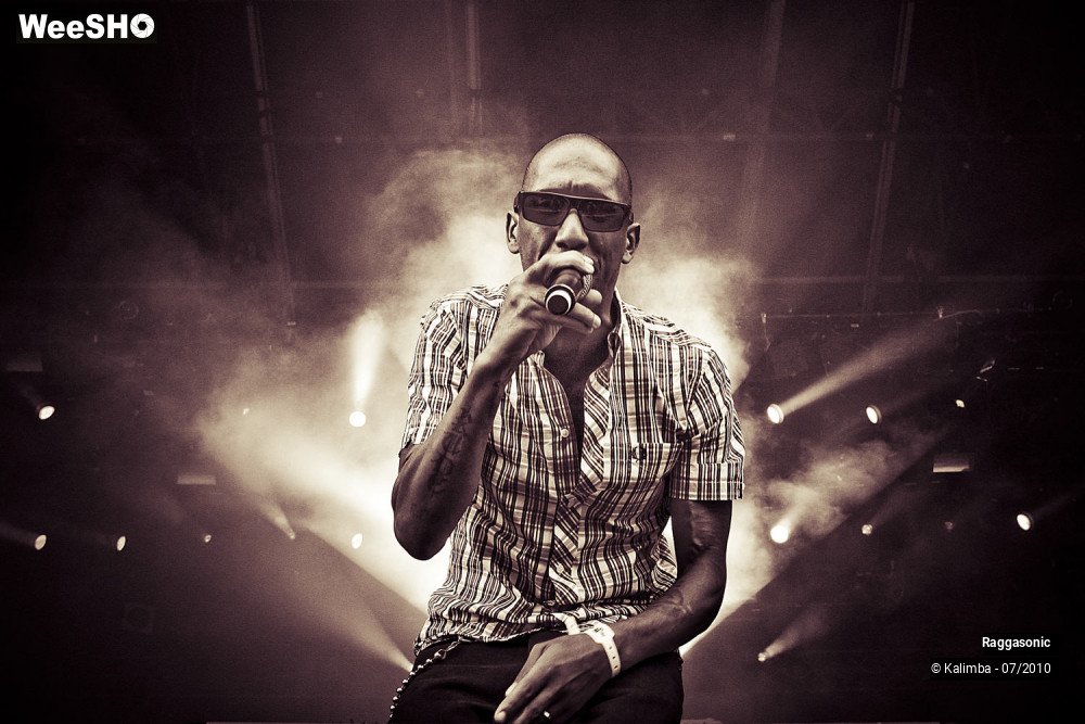 18/41 photos du spectacle Raggasonic