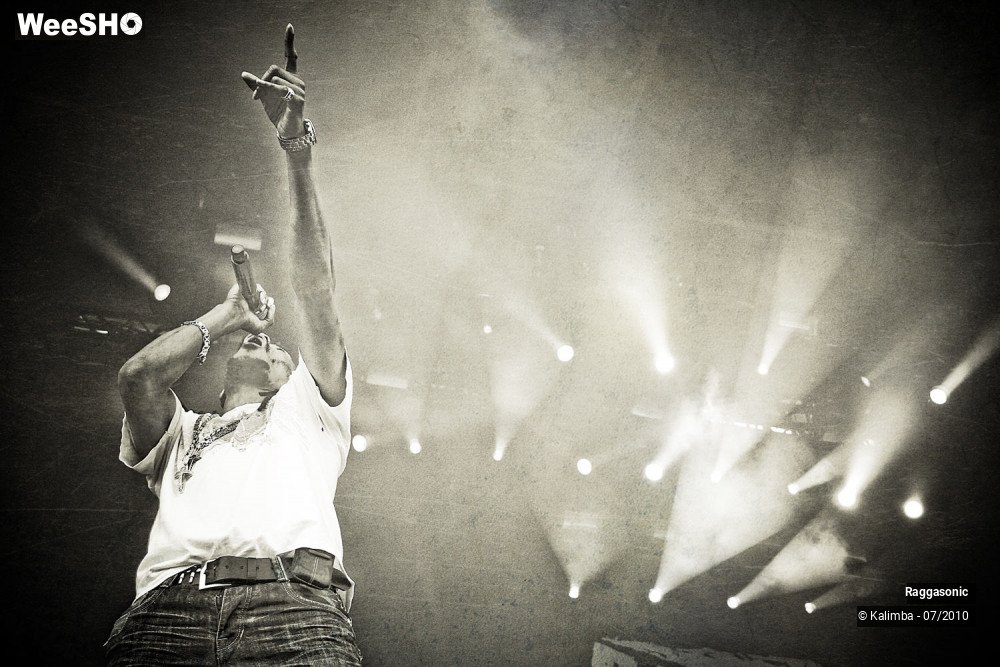 20/41 photos du spectacle Raggasonic