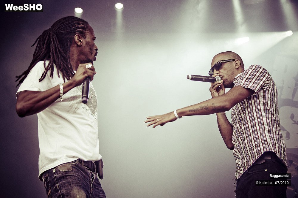 21/41 photos du spectacle Raggasonic