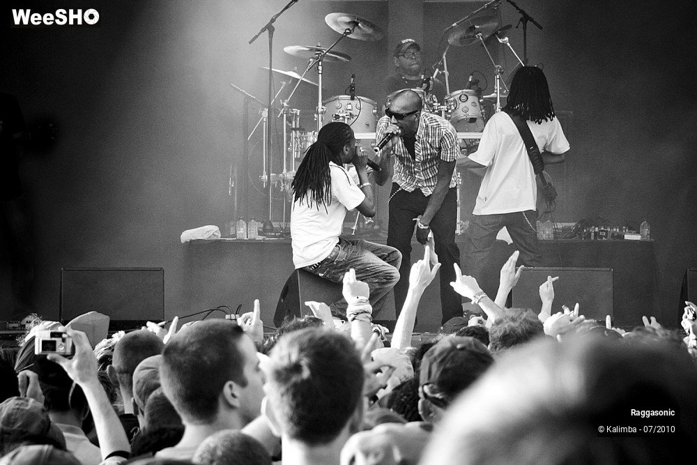 23/41 photos du spectacle Raggasonic
