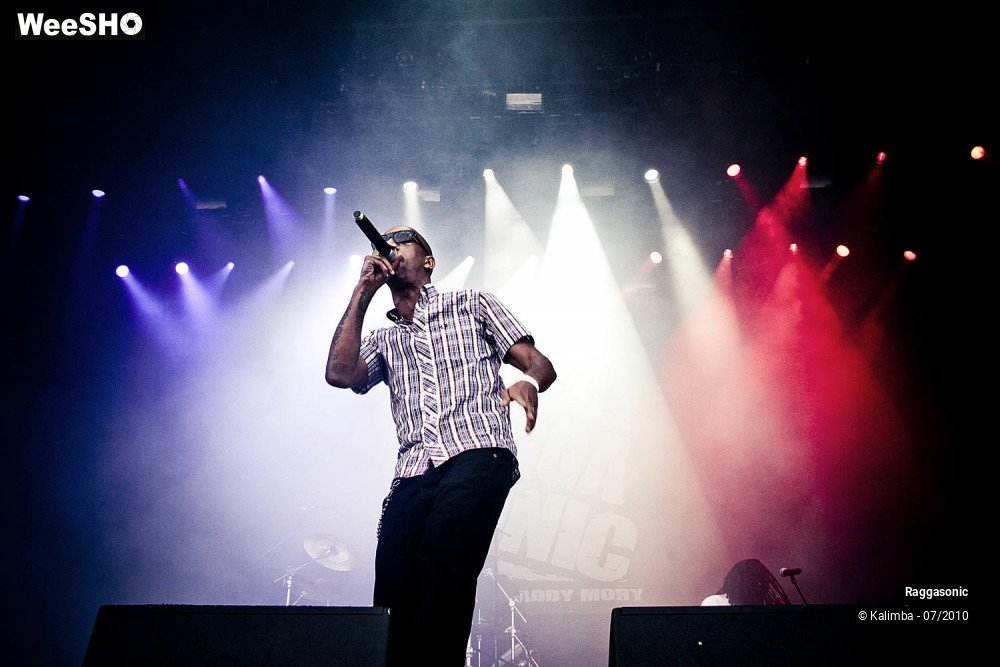24/41 photos du spectacle Raggasonic