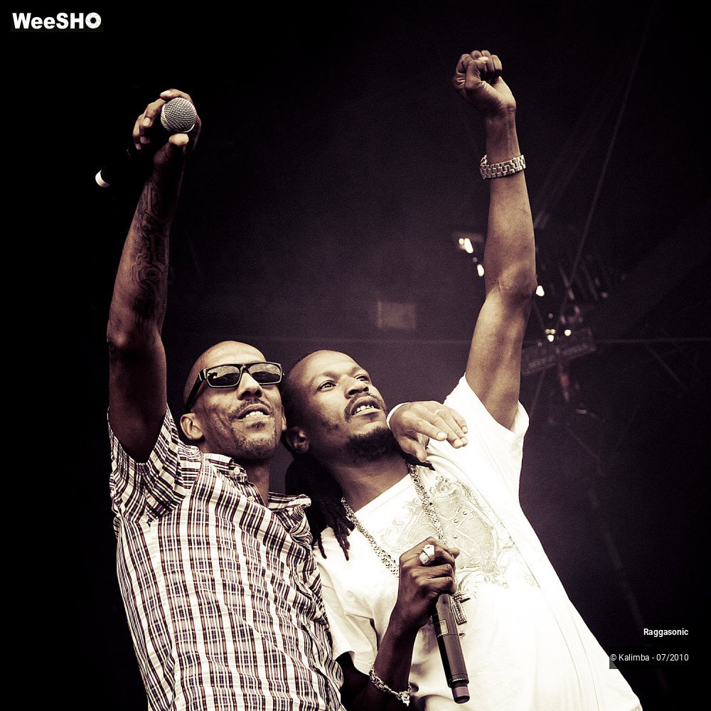 27/41 photos du spectacle Raggasonic
