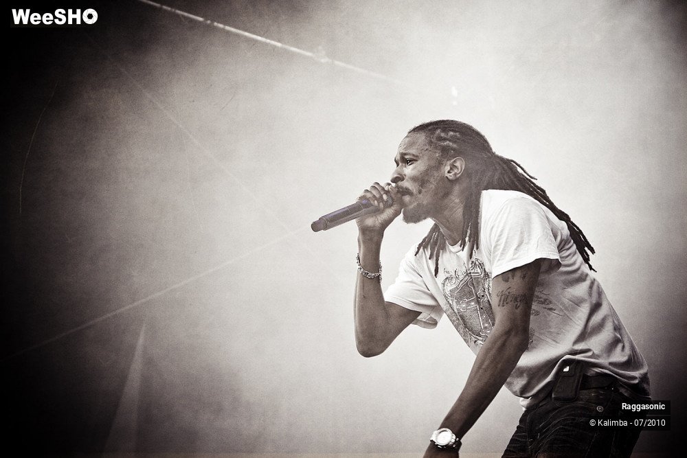 28/41 photos du spectacle Raggasonic